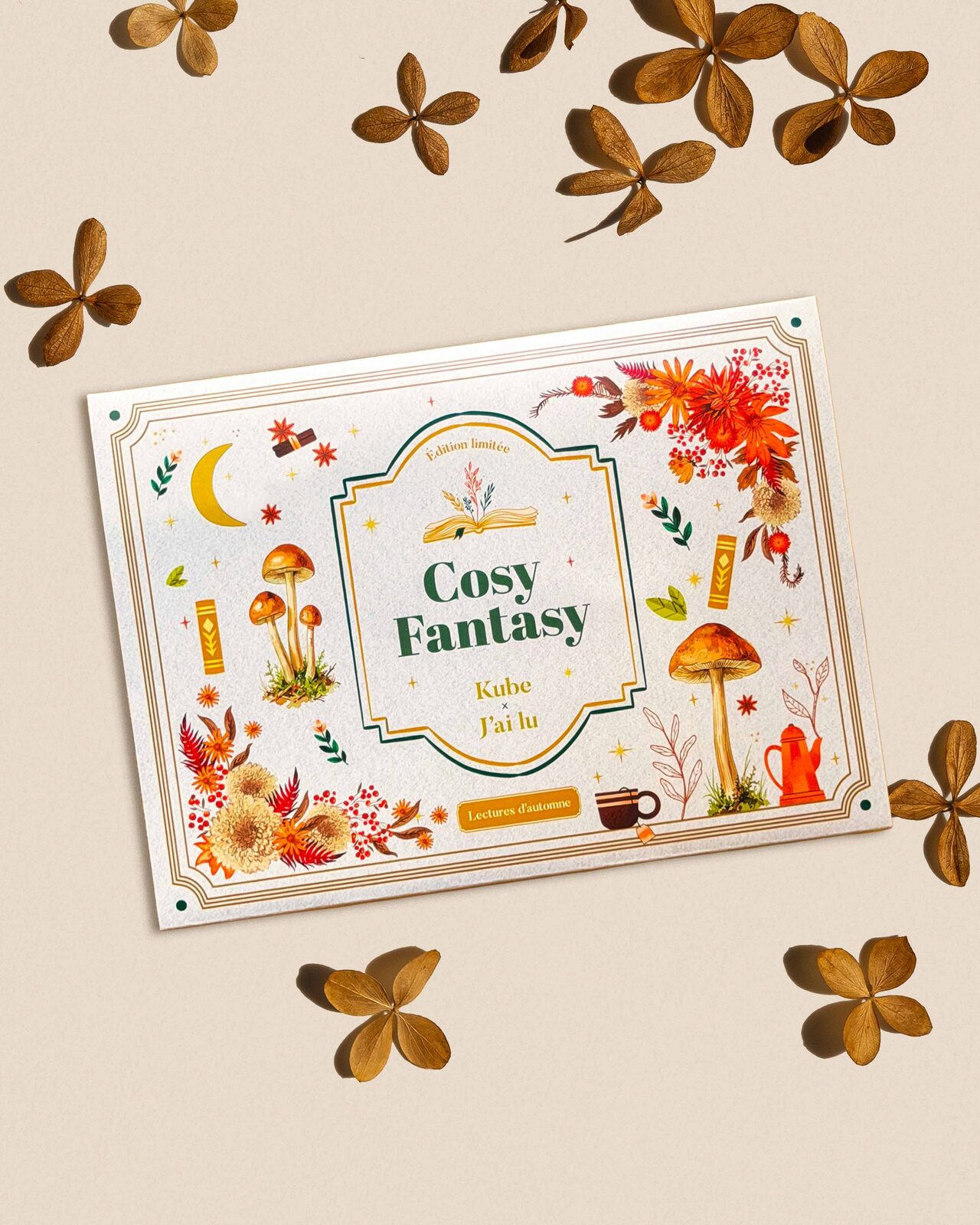 La box Cosy Fantasy, packaging illustré